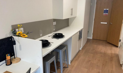  Studio Gold  -  The Depot Roost  - Gallery -  5