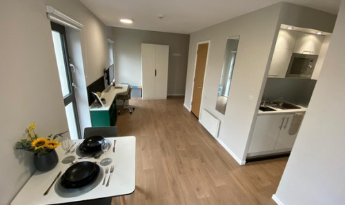  Studio - Platinum Plus  -  The Depot Roost  - Gallery -  3