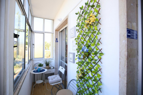 Single in multiple beds bedroom in 3-bedroom apartment