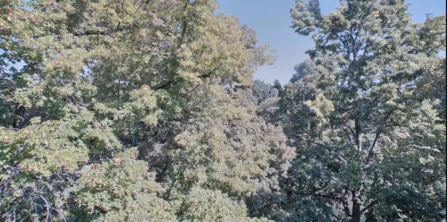Pleasant single bedroom Britz