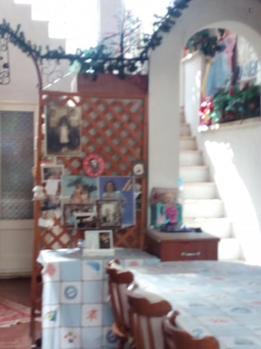 Nice single bedroom in Nettuno - Gallery - 5