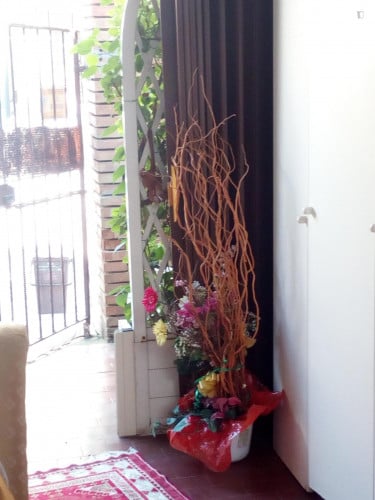Nice single bedroom in Nettuno - Gallery - 9