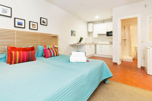 Large and comfortable studio in Malasaña  - Gallery -  5