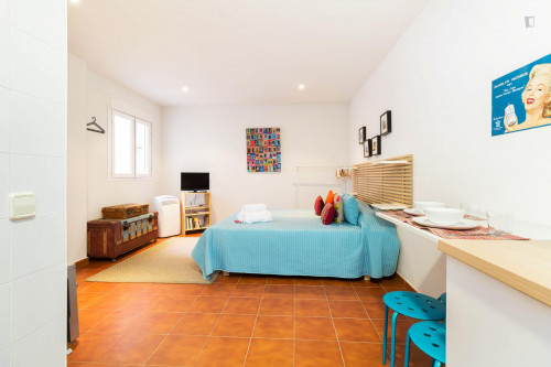 Large and comfortable studio in Malasaña