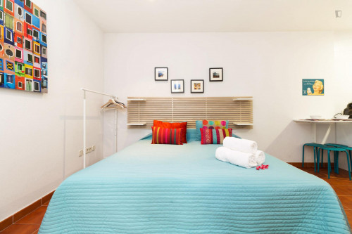 Large and comfortable studio in Malasaña