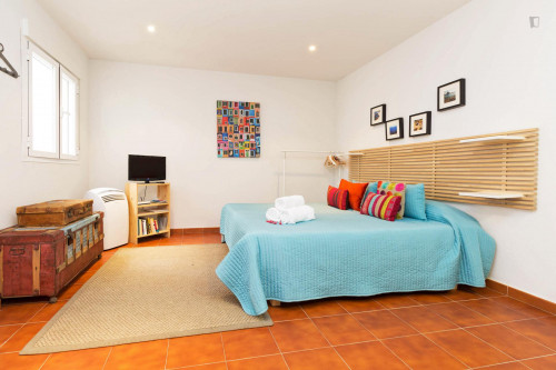 Large and comfortable studio in Malasaña