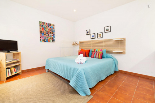 Large and comfortable studio in Malasaña