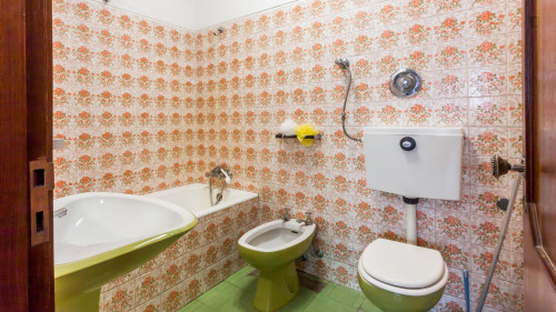 Very nice single bedroom in popular Ramalde - Gallery - 2