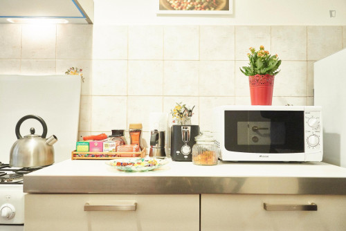 Double ensuite bedroom in a 2-bedroom apartment near Cipro metro station - Gallery - 6