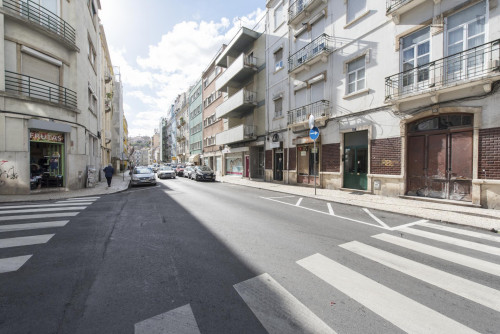 Snug single bedroom in a 7-bedroom flat near Instituto Superior Técnico  - Gallery -  3