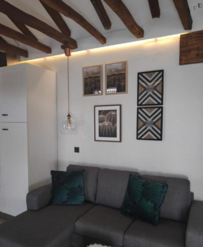 Modern 2-bedroom apartment near Ópera Metro - Gallery - 12