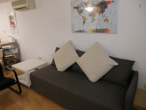 Elegant 1-bedroom apartment 400 meters from Plaza Catalunya