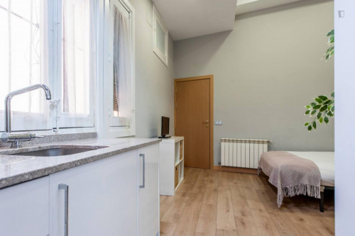 Ample studio near the Tribunal metro - Gallery - 9