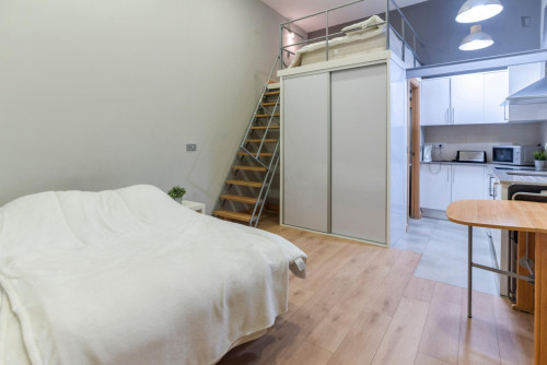 Ample studio near the Tribunal metro - Gallery - 13