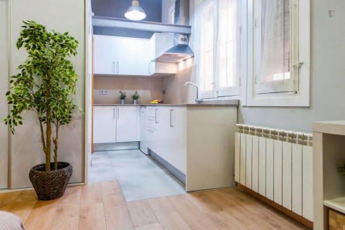 Ample studio near the Tribunal metro - Gallery - 7