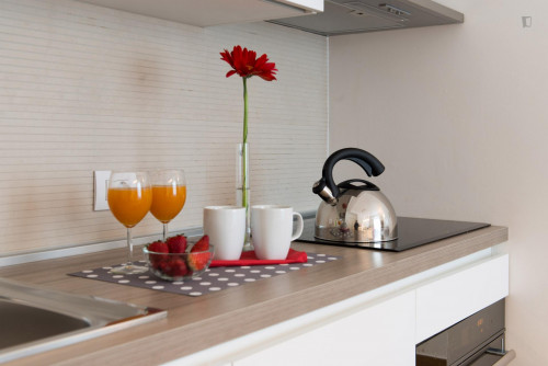 Stylish 1-bedroom apartment near Moscova metro station - Gallery - 10