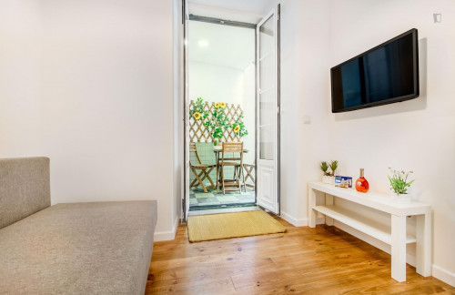 Bright 2-bedroom apartment near Miradouro da Graça - Gallery - 29
