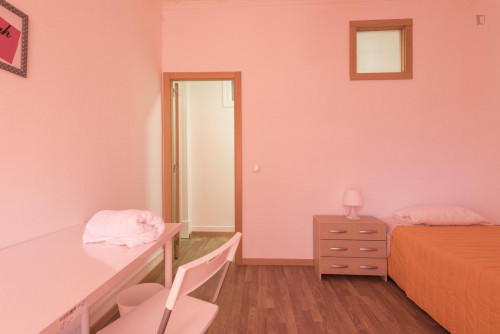 Luminous single bedroom near Instituto Superior Técnico  - Gallery -  3
