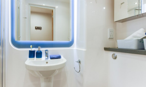  En-Suite Bronze  -  St David's Roost  - Gallery -  2