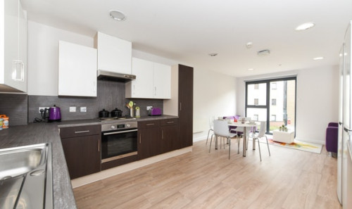  En-Suite Bronze  -  St David's Roost  - Gallery -  4