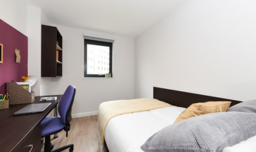  En-Suite Bronze  -  St David's Roost  - Gallery -  1