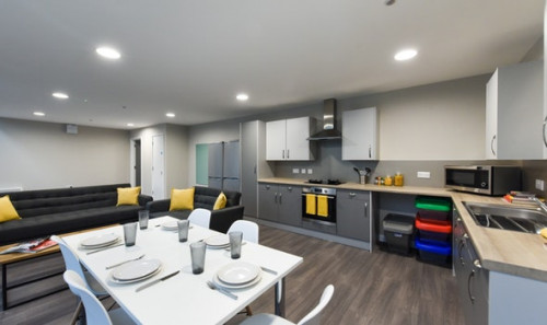  En-Suite Bronze Plus  -  St David's Roost  - Gallery -  3