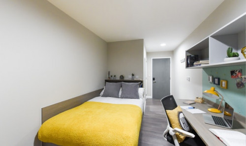  En-Suite Bronze Plus  -  St David's Roost  - Gallery -  1