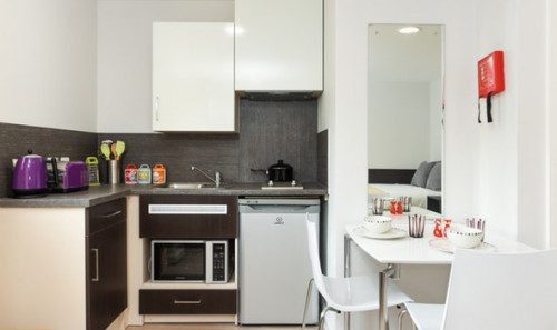  Studio Bronze  -  St David's Roost  - Gallery -  2