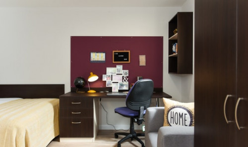  Studio Bronze  -  St David's Roost  - Gallery -  4