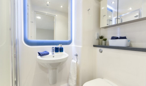  Studio Bronze  -  St David's Roost  - Gallery -  5