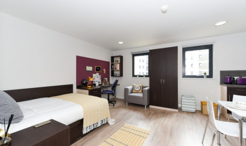  Studio Bronze  -  St David's Roost  - Gallery -  1