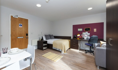  Studio Bronze  -  St David's Roost  - Gallery -  3