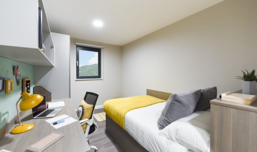  En-Suite Gold Plus  -  St David's Roost  - Gallery -  1