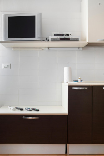1-Bedroom apartment near Porta San Felice - Gallery - 15