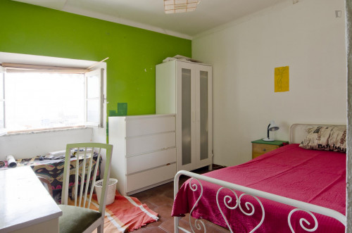 Cool single bedroom near Faculdade de Belas-Artes da Universidade de Lisboa  - Gallery -  1