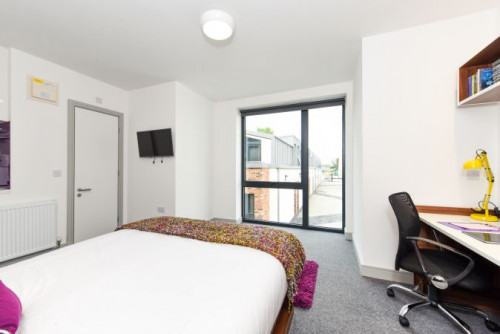  Studio Gold  -  Chapel Heights Roost  - Gallery -  6