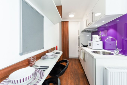  Studio Gold  -  Chapel Heights Roost  - Gallery -  4