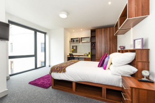  Studio Gold  -  Chapel Heights Roost  - Gallery -  2