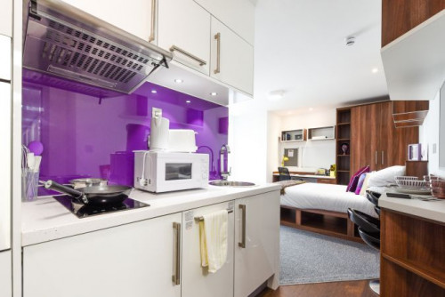  Studio Gold  -  Chapel Heights Roost  - Gallery -  3