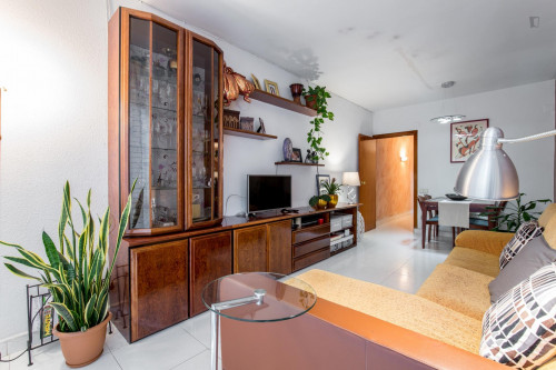 Single bedroom in 4-bedroom apartment