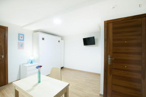 Nice studio-apartment close to the Tirso de Molina metro station