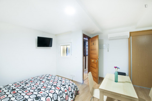 Nice studio-apartment close to the Tirso de Molina metro station