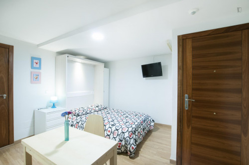 Nice studio-apartment close to the Tirso de Molina metro station