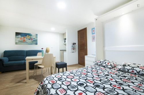 Nice studio-apartment close to the Tirso de Molina metro station