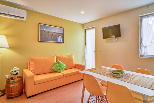 Fabulous 2-bedroom apartment downtown Gaia-Porto