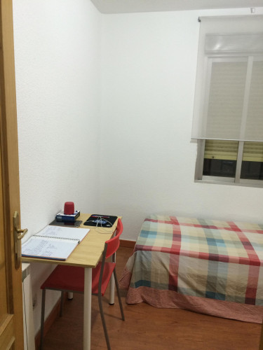 Homely single room in Almagro
