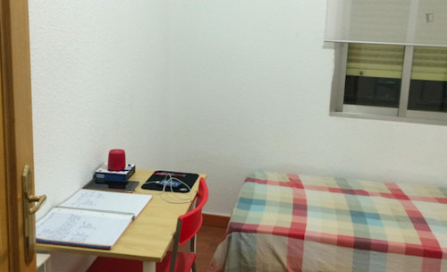 Homely Single Room In Almagro - 2