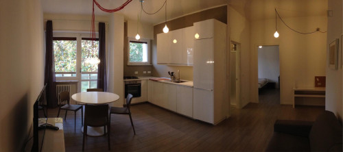 Bright apartment near the Dora Riparia river - Gallery - 11