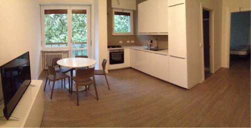 Bright apartment near the Dora Riparia river - Gallery - 12