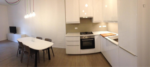 Bright apartment near the Dora Riparia river